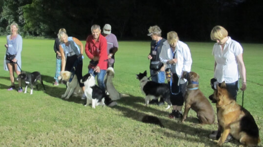 Port Macquarie Dog Club Obedience, Agility and Competitive Dog Training