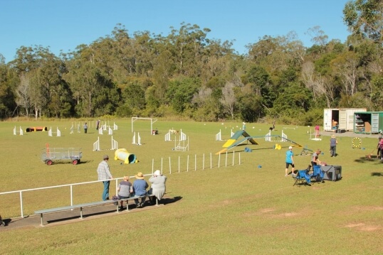 Port Macquarie Dog Club Obedience, Agility and Competitive Dog Training
